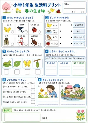 小1生活科 まとめ②のプリント
