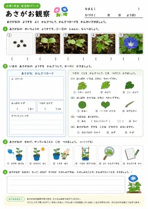 小1生活科 まとめ④のプリント